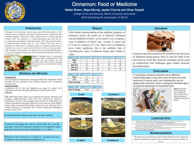 Cinnamon: Food or Medicine Miniaturansicht