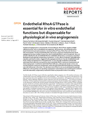 Endothelial RhoA GTPase is essential for in vitro endothelial functions but dispensable for physiological in vivo angiogenesis. Thumbnail