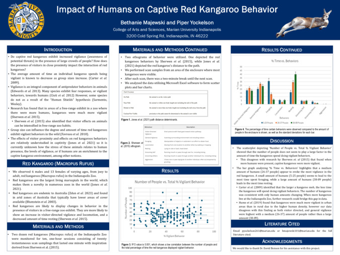 Impact of Humans on Captive Red Kangaroo Behavior Miniaturansicht