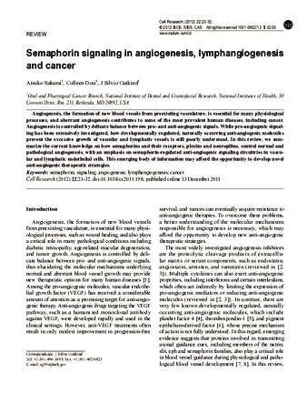 Semaphorin signaling in angiogenesis, lymphangiogenesis and cancer. Thumbnail