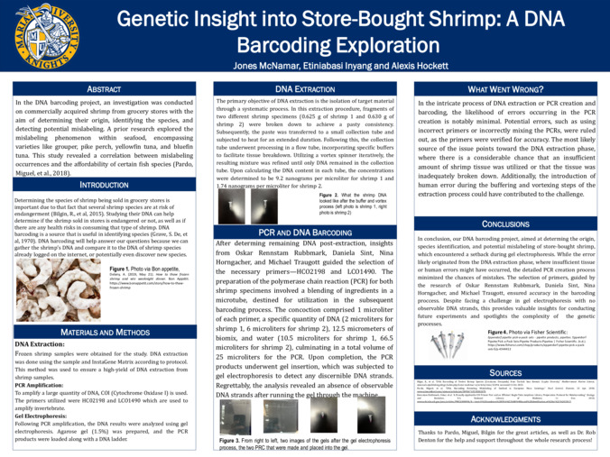 Genetic Insight into Store-Bought Shrimp: A DNA Barcoding Exploration Thumbnail