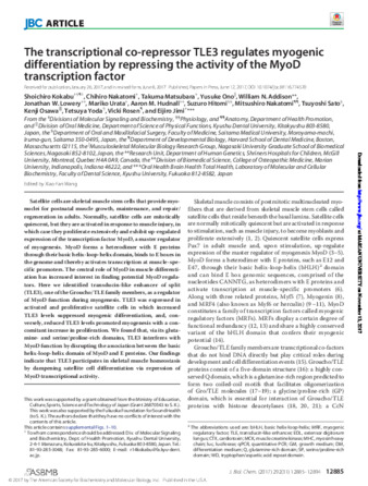 The Transcriptional Co-Repressor TLE3 Regulates Myogenic Differentiation by Repressing the Activity of the MyoD Transcription Factor Miniature