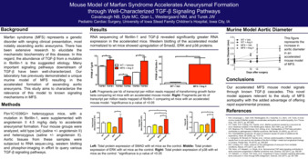 Mouse Model of Marfan Syndrome Accelerates Aneurysmal Formation through Well-Characterized TGF-? Signaling Pathways Thumbnail