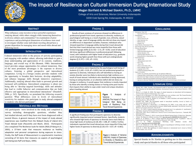 The Impact of Resilience on Cultural Immersion During International Study Miniature
