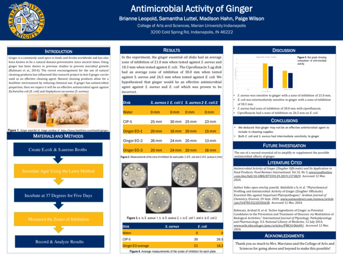 Antimicrobial Activity of Ginger miniatura