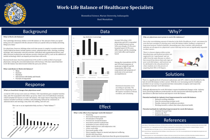 Work-Life Balance of Healthcare Specialists Miniature