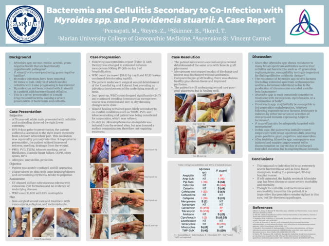 Bacteremia and Cellulitis Secondary to Co-Infection with Myroides spp. and Providencia stuartii: A Case Report Miniature