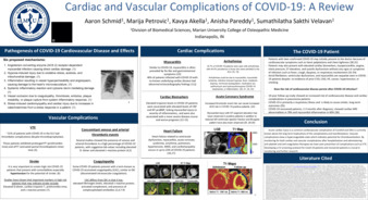 Cardiac and Vascular Complications of COVID-19: A Review miniatura
