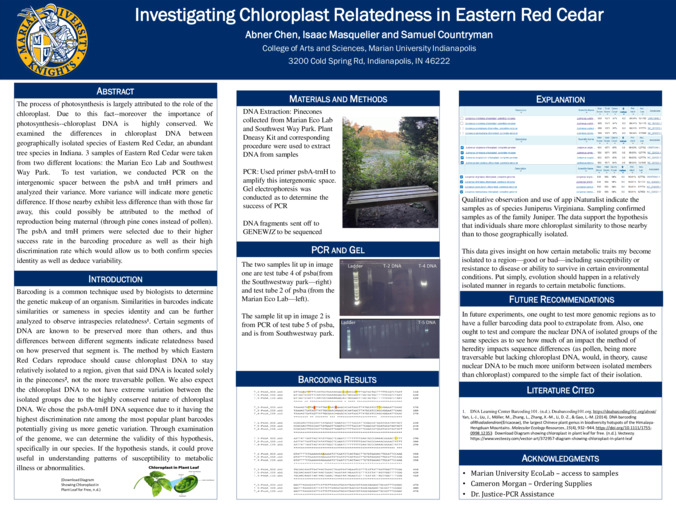 Investigating Chloroplast Relatedness in Eastern Red Cedar Thumbnail