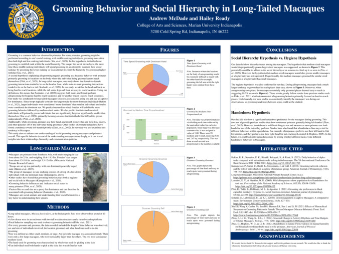 Grooming Behavior and Social Hierarchy in Long-Tailed Macaques Thumbnail