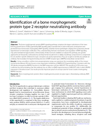 Identification of a bone morphogenetic protein type 2 receptor neutralizing antibody miniatura