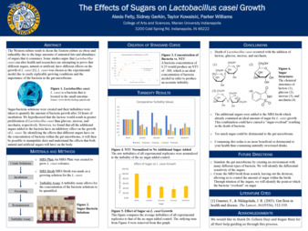 The Effects of Sugars on Lactobacillus Casei Growth Miniaturansicht