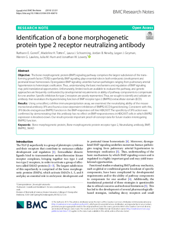 Identification of a bone morphogenetic protein type 2 receptor neutralizing antibody Miniature