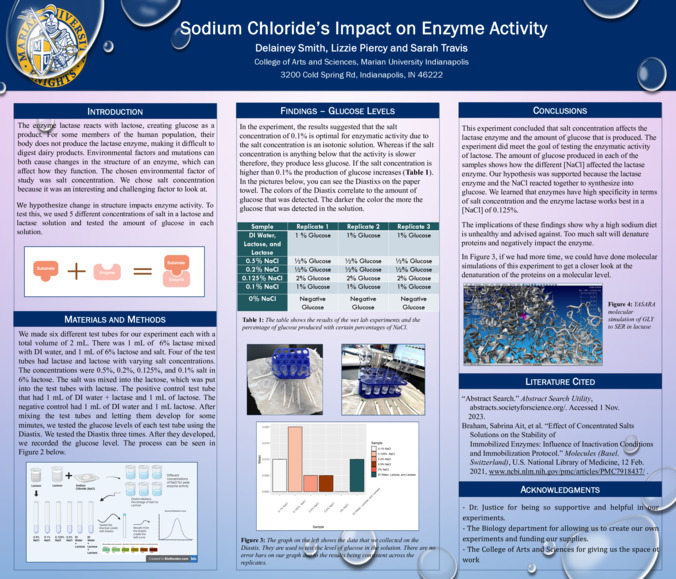 Sodium Chloride’s Impact on Enzyme Activity Thumbnail